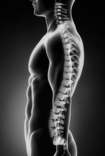 canstockphoto8548237.jpg